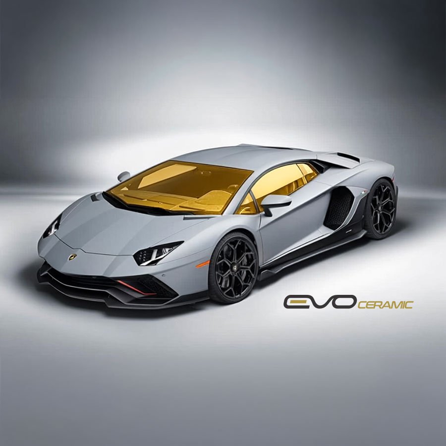 EvoCeramic