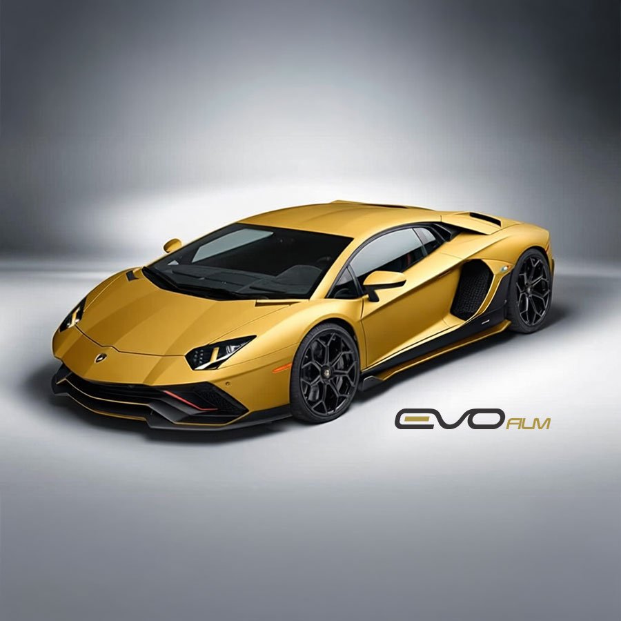 EvoSkin